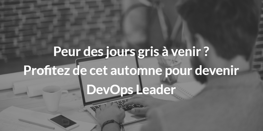 Formation devops leader 