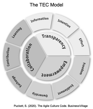 TEC model (Puckett, 2020)