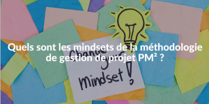 Blog_Mindsets PM2