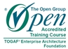 1. togaf_enterprise architect